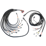 FUELTECH USA 2002100142 PRO550/600 FTSPARK-8 Harness