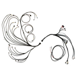 FUELTECH USA 3026109080 PRO600 V8 Complete Wiring Harness