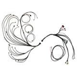 FUELTECH USA 3026110977 FuelTech USA PRO600 Ford V8 Complete Engine Harness (Part #3026110977)