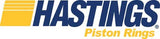 HASTINGS 101 Piston Ring Application Guide 2008