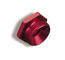 Load image into Gallery viewer, HOLLEY 26-76 Fuel Inlet Plug