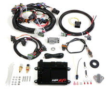 Load image into Gallery viewer, HOLLEY 550-604 ECU &amp; Harness MPFI Kit
