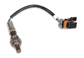 HOLLEY 554-100 NTK O2 Sensor