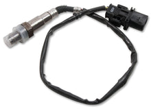 Load image into Gallery viewer, HOLLEY 554-155 Wideband O2 Sensor Sniper TBI