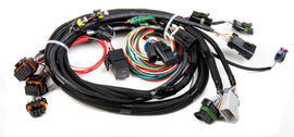 HOLLEY 558-101 TPI Stealth Ram Main Harness