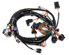 Load image into Gallery viewer, HOLLEY 558-102 Main Wiring Harness LS1 &amp; LS6