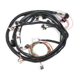 HOLLEY 558-103 Main Wiring Harness LS2 & LS3