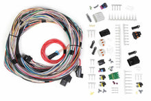 Load image into Gallery viewer, HOLLEY 558-105 Main Harness - Univesal Un-Terminated