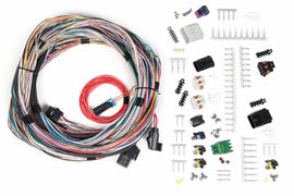 HOLLEY 558-105 Main Harness - Univesal Un-Terminated
