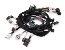 Load image into Gallery viewer, HOLLEY 558-108 Main Harness 99-04 Ford Modular Engine