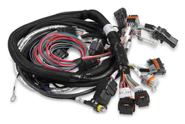 HOLLEY 558-116 Main Wire Harness  Hemi Late  W/ TPS & IAC
