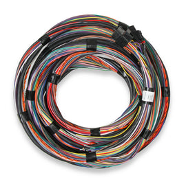 HOLLEY 558-126 Flying Lead Main Harness