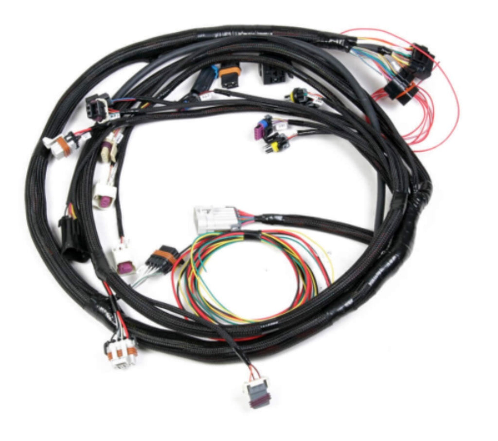 HOLLEY 558-128 Engine Main Harness Ford 5.0L/5.8L