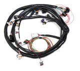 HOLLEY 558-128 Engine Main Harness Ford 5.0L/5.8L