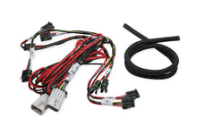 Load image into Gallery viewer, HOLLEY 558-318 Coil-Near-Plug Sub Harness - Big Wire