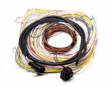 Load image into Gallery viewer, HOLLEY 558-401 Auxiliary Harness J2A Connector