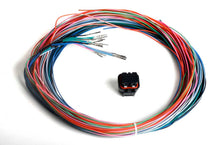 Load image into Gallery viewer, HOLLEY 558-402 J2B Auxiliary Harness Kit