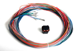 HOLLEY 558-402 J2B Auxiliary Harness Kit