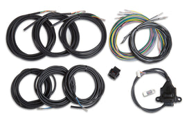 HOLLEY 558-433 Wiring Harness - EFI Digital Dash I/O Adapter