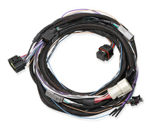 Load image into Gallery viewer, HOLLEY 558-470 Trans Wire Harness Ford 4R70W/4R75W  1998-Up