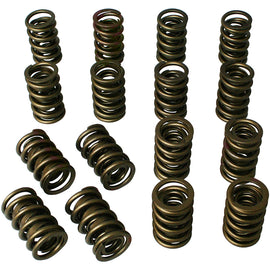 HOWARDS RACING COMPONENTS 98432 Dual Valve Springs - 1.437