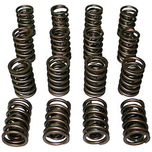 Load image into Gallery viewer, HOWARDS RACING COMPONENTS 98636 Dual Valve Springs - 1.514