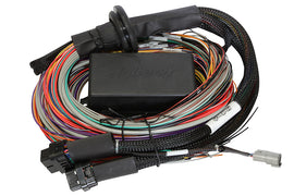 HALTECH HT-141304 Elite 2500 Premium Univ. Wire Harness