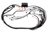 HALTECH HT-141360 Elite 2000/2500 Non DBW Terminated Wire Harness