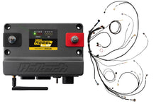 Load image into Gallery viewer, HALTECH HT-220201 Nexus Rebel LS Kit w/Cable Throttle EV1 Inj