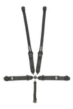 IMPACT RACING 57341231 5-PT Harness Camlock Ind Shldr 3in to 2in Trans