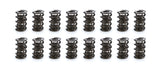 ISKY CAMS 1248 1.600 Triple Valve Spring Set (16)