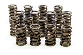 ISKY CAMS 205-D Valve Springs