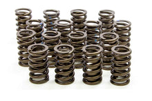Load image into Gallery viewer, ISKY CAMS 235-D Valve Springs