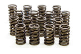 ISKY CAMS 235-D Valve Springs