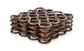 ISKY CAMS 3105-D 1.490 Valve Springs