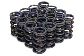 ISKY CAMS 4205 1.240 Dual Valve Springs