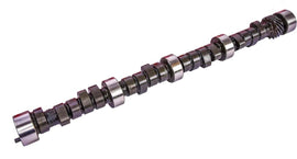 ISKY CAMS 621262 Buick 215 Hyd Camshaft