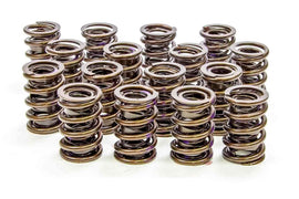 ISKY CAMS 8205 1.530 Valve Springs