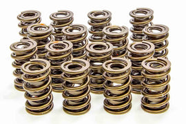 ISKY CAMS 9385PLUS 1.560in Valve Springs
