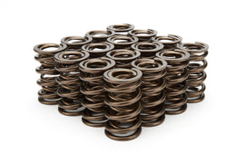 ISKY CAMS 9935 1.560 Valve Springs