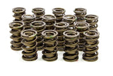 ISKY CAMS 9945 1.625 Valve Springs