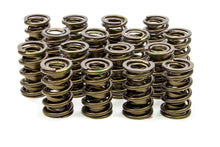 Load image into Gallery viewer, ISKY CAMS 9965 1.560 Valve Springs