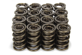 ISKY CAMS 9989RAD 1.570 Valve Springs