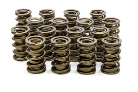 ISKY CAMS 9995 1.570 Valve Springs