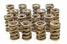 ISKY CAMS 9999-RAD 1.600 Valve Springs