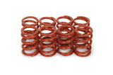 ISKY CAMS VWE005 1.095 Valve Spring Set Outer (8pk)