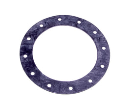 JAZ 850-301-01 12-Hole Flange Gasket