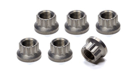 KING RACING PRODUCTS 4093 Torque Tube Nut Set 12pt Titanium 6pk