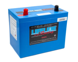 LIFELINE BATTERY LL-1640TB 16 Volt 2 Post Battery