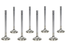 Load image into Gallery viewer, MANLEY 11705-8 SBC E/D 1.600 Exhaust Valves 11/32 5.165 OAL